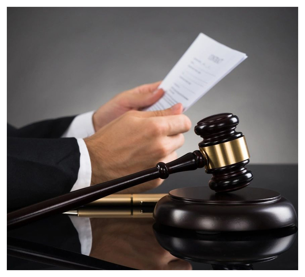 Judge Holding Document At Desk